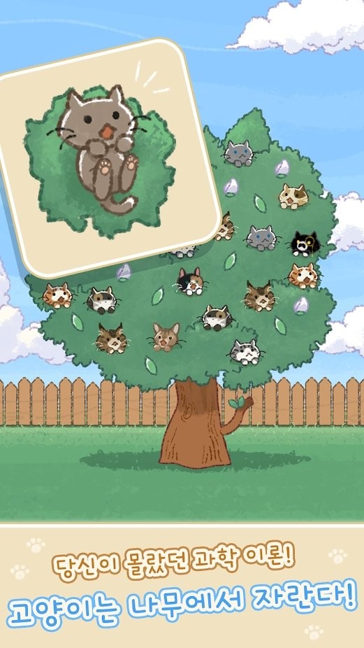 猫猫树
