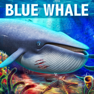 蓝鲸模拟器