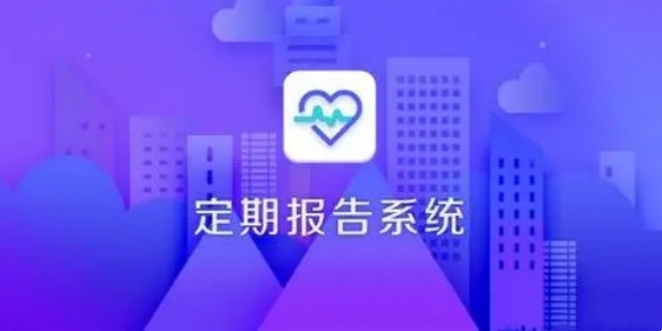 定期报告系统低保