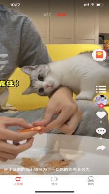 小萌猫