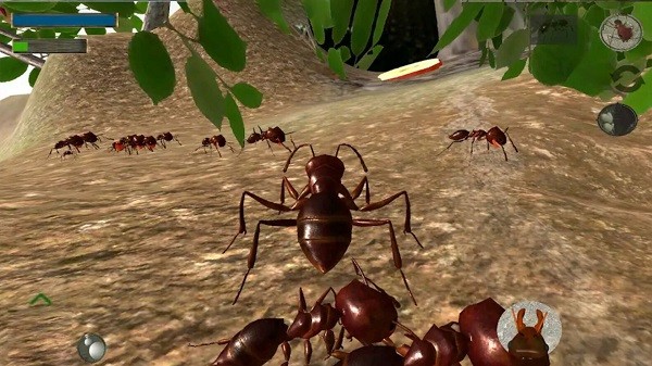 蚂蚁荒野生存模拟