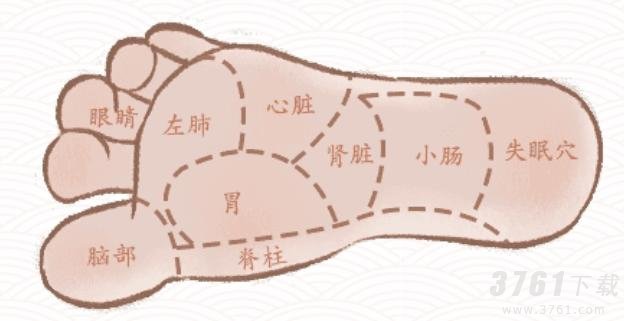 《文字成精》足底按摩拖动文字到对应部位通关攻略