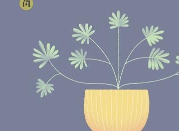 收纳达人花花世界怎么过 花花世界通关攻略