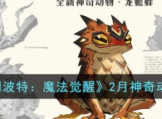 哈利波特魔法觉醒2月神奇动物是什么 2月神奇动物龙蟾蜍一览