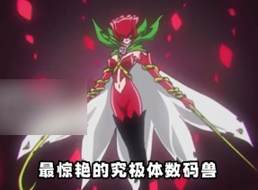 数码宝贝新世纪怎么快速获得经验 数码宝贝新世纪快速提升等级攻略汇总