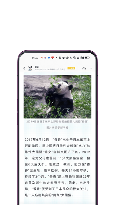 看熊猫电子杂志