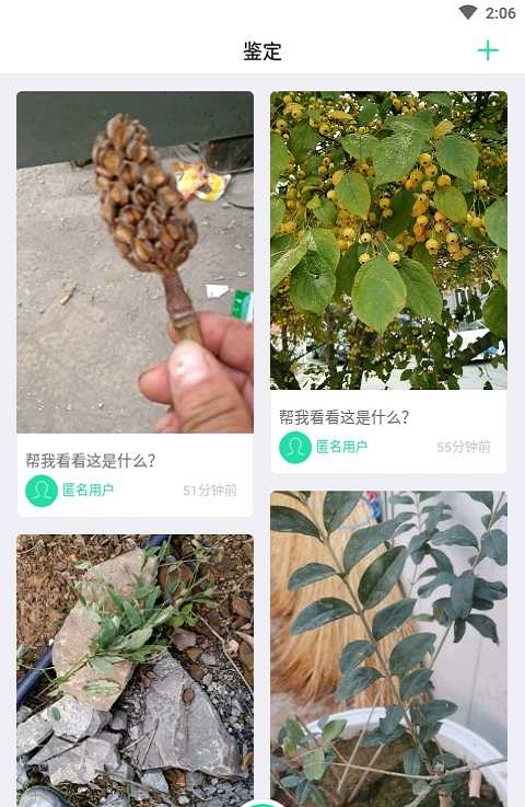 掌上植物网