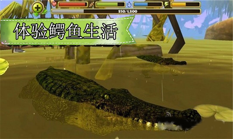 鳄鱼模拟生存