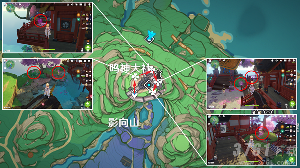 原神绯樱绣球怎么采集