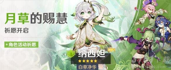 《原神》3.6妮露和纳西妲抽取价值分析