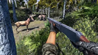 野鹿狩猎射击