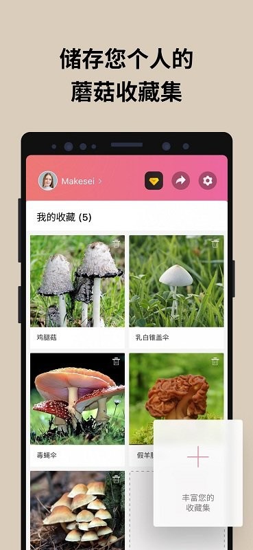 PictureMushroom