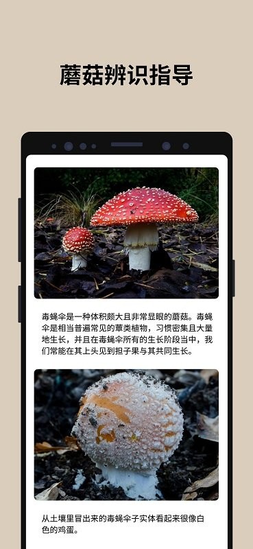 PictureMushroom