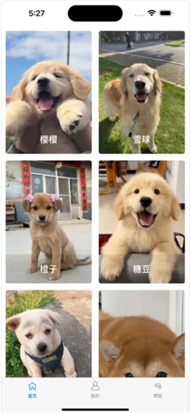 爱犬回家录