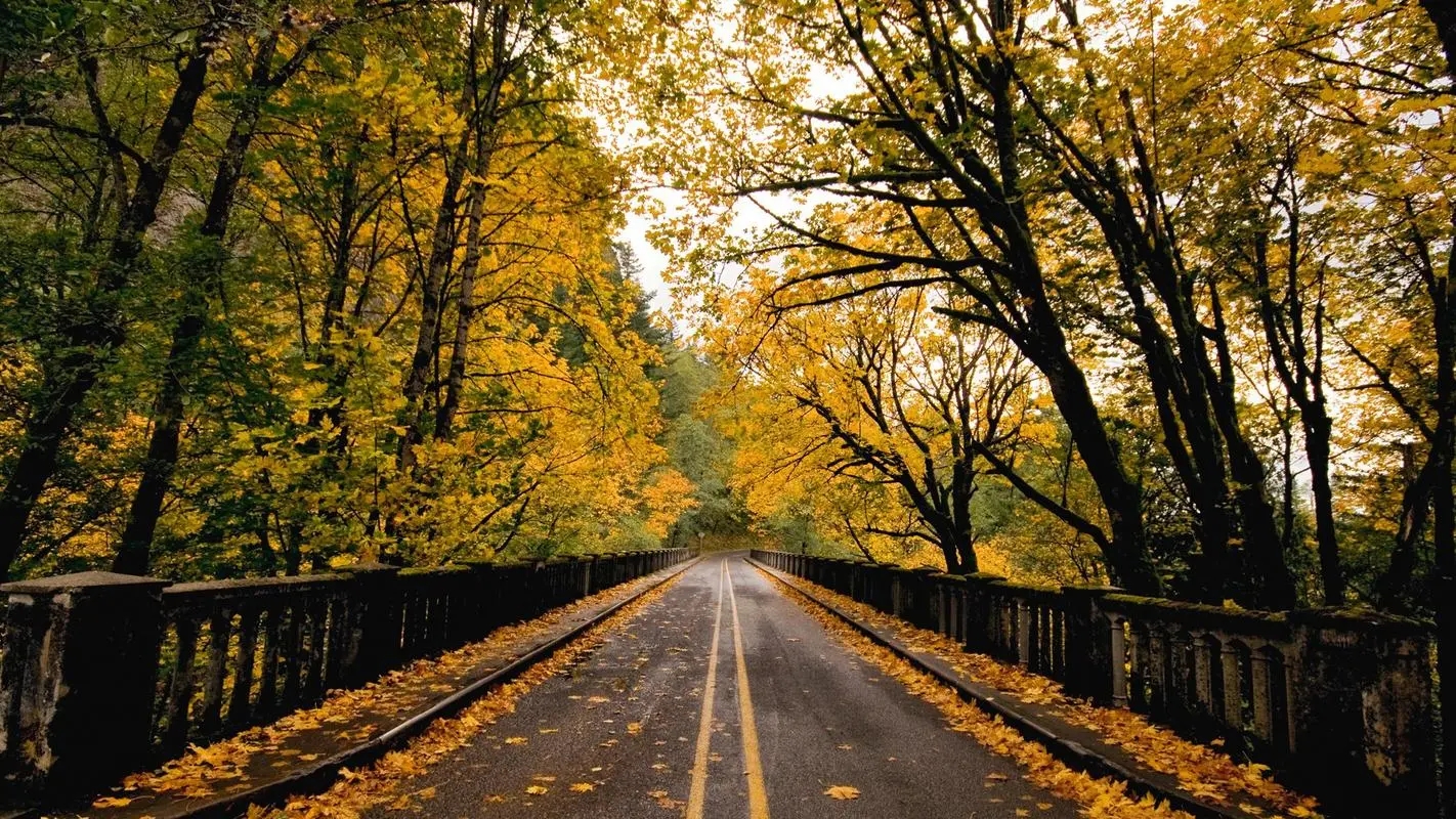 桌面主题壁纸软件