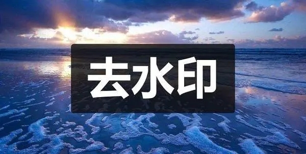 专业去水印软件