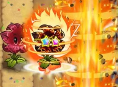 植物大战僵尸2流星花怎么样 流星花介绍