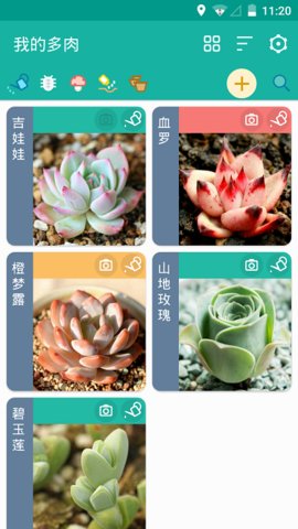 多肉成长记手机版