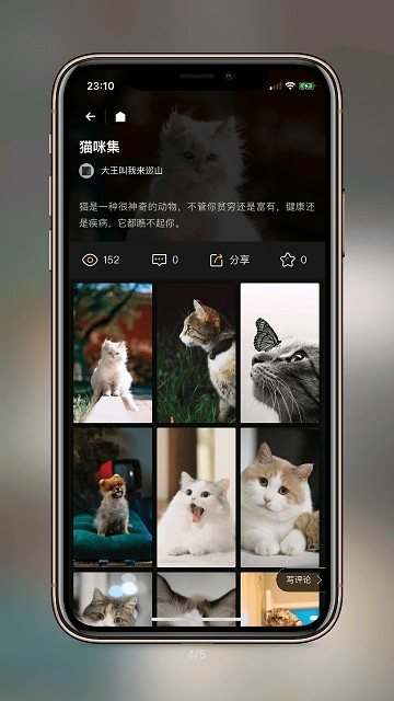 纸塘壁纸app