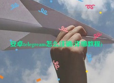 Telegram小飞机账号怎么注销 Telegram小飞机账号注销方法介绍