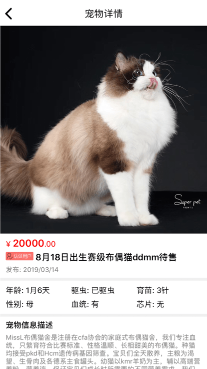 猫行狗市