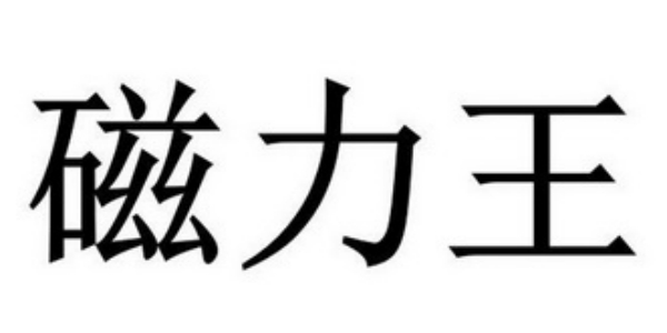 磁力王