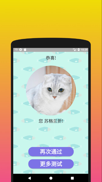 你是什么样的猫