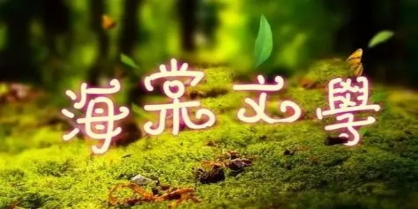 海棠文化书城阅读器