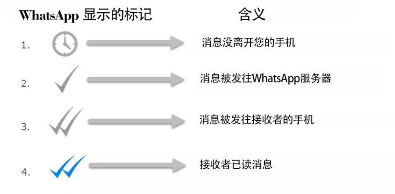 WhatsApp免费版