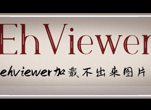 ehviewer为什么加载不出来图片 ehviewer图片加载不出来是什么原因