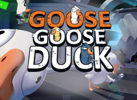 goose goose duck鹅鸭杀CDK兑换码如何获取 鹅鸭杀CDK兑换码购买方法