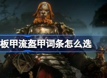 恶意不息板甲流盔甲词条怎么选 轻量化板甲介绍