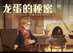 哈利波特魔法觉醒怎么男女混住 男女同居攻略玩法介绍