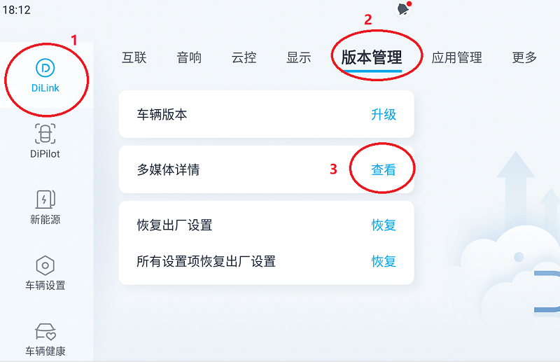 无线adb比亚迪专享版