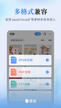 掌阅小说截图