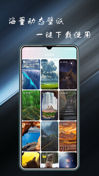 壁纸主题大全app截图