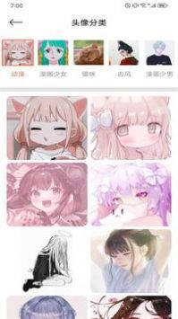 花猫壁纸2024截图