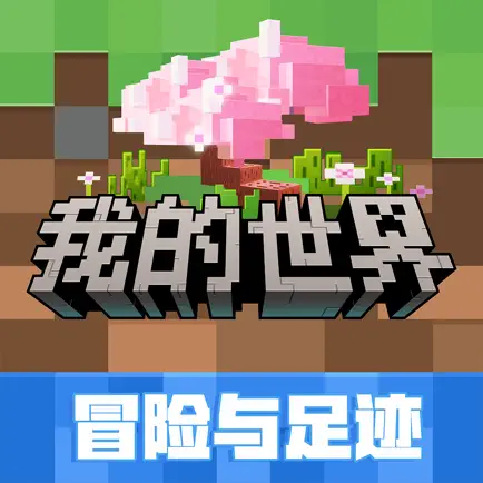 我的世界：冒险与足迹
