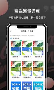 羊驼韩语单词2024免费版截图