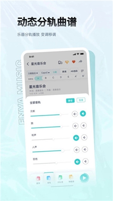 恩雅音乐免费版