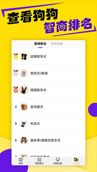 狗语翻译器APP