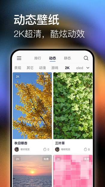 极壁纸app