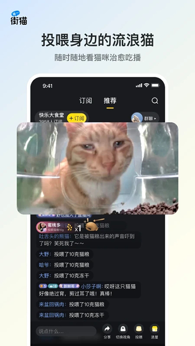 哈啰街猫app