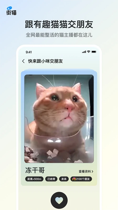 哈啰街猫app截图