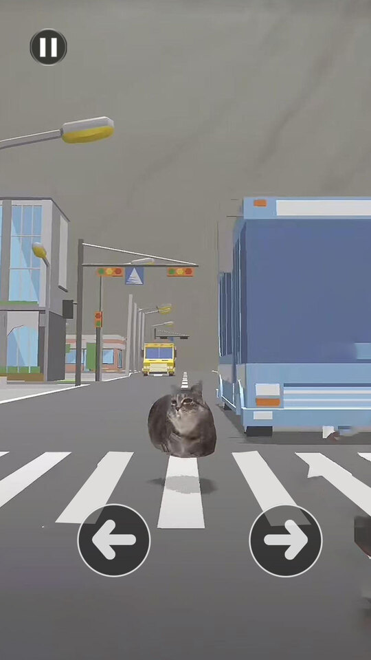 小猫爱冒险
