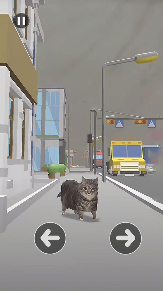 小猫爱冒险