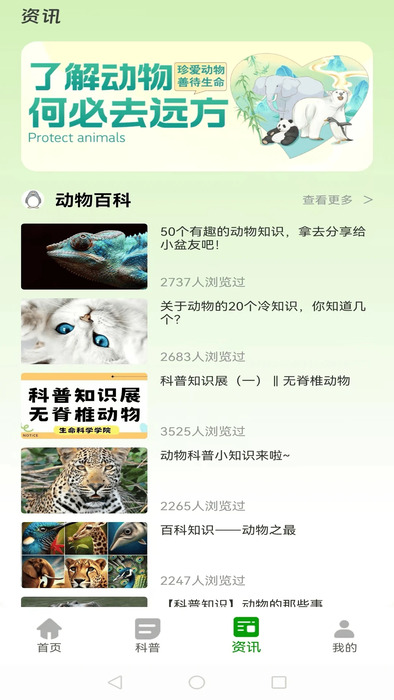 动物夜世界