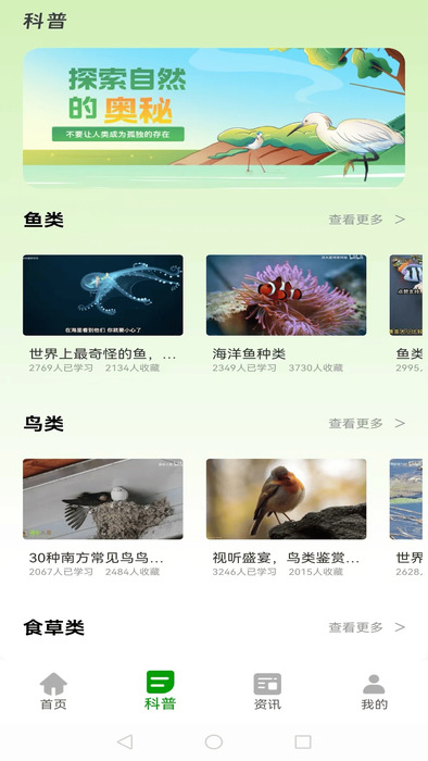 动物夜世界