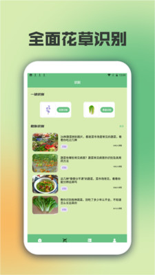 指尖种菜园