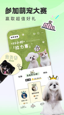 尾巴宝贝